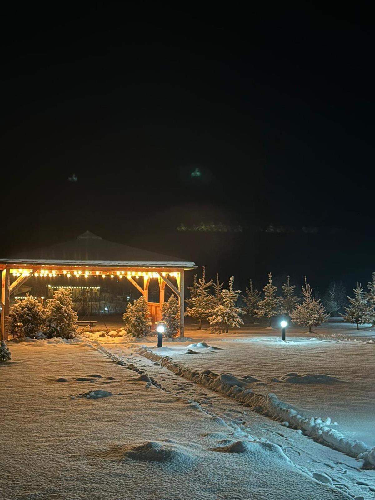 Domki Nad Sanem Bachorzec Dubiecko 외부 사진